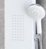 Ec-1019 Popular Bathroom Shower Column Contemporary Shower Panel -50