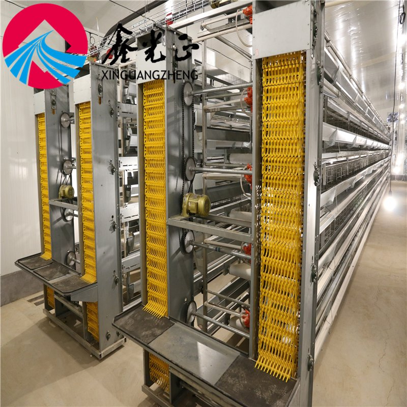 China Cheap Poultry Farming Prefabricated Steel Structure Farm Chicken House