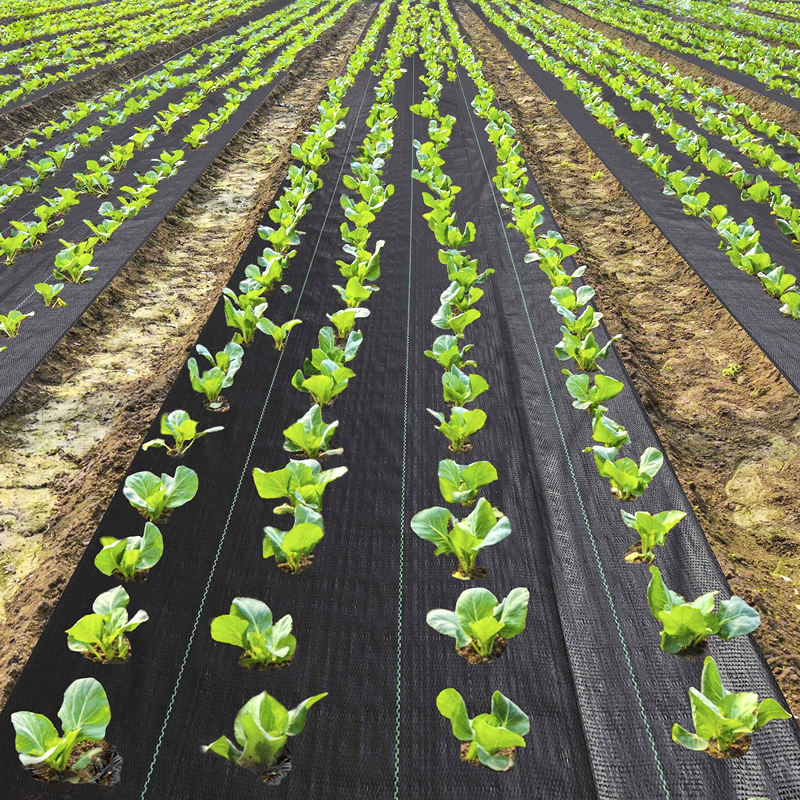 UV Stabilized Agricultural Anti-Aging Green Industrial Fabric PP Woven Ground Cover