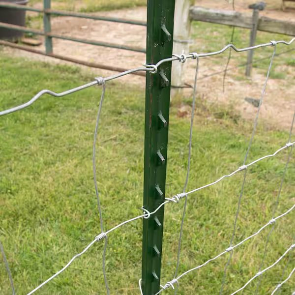 Farm Fence Use Safety Green Painted Steel T Post for Sale