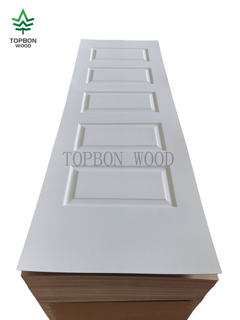 2 Panel White Primed Skin Interior Style Doors Wood MDF Modern Molded