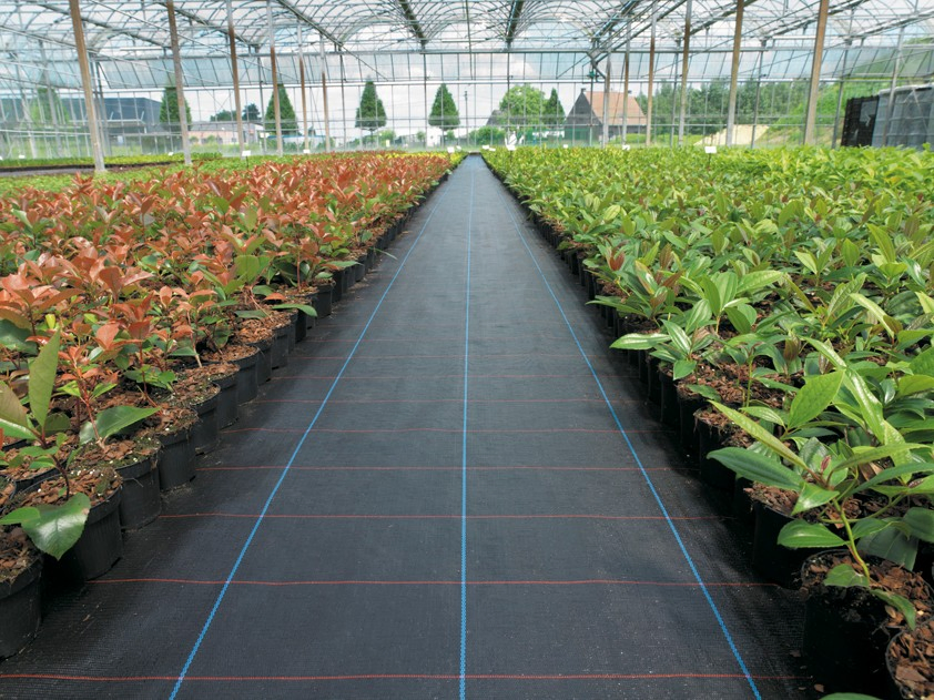 Malaysia PP/PE/Plastic Woven Ground Cover/Anti Weed Barrier/Control Mat for Agriculture/Garden/Landscape