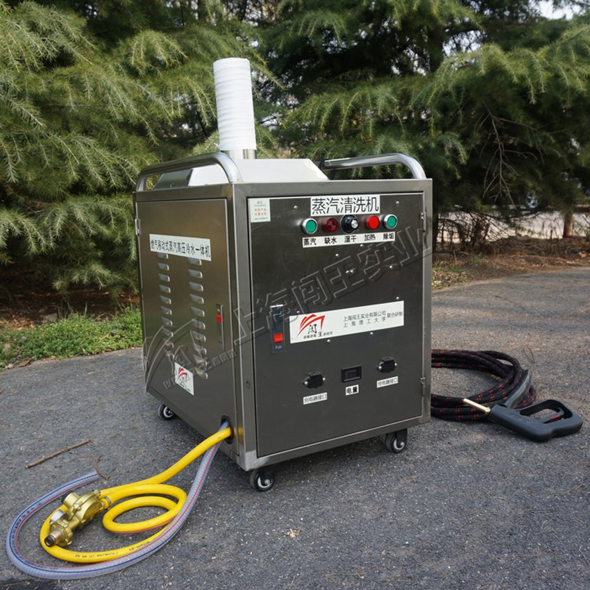 High Efficiency Mini Gas-Powered Mobile High Pressure Portable Steam Cleaner Car Washer