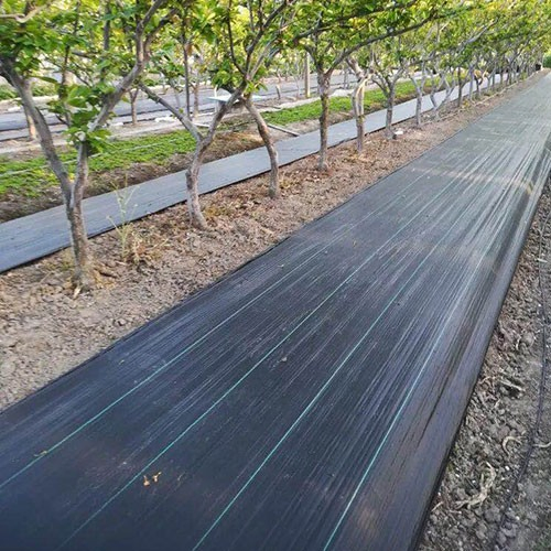 Good Quality PP/PE Weed Mat for Agriculture Application