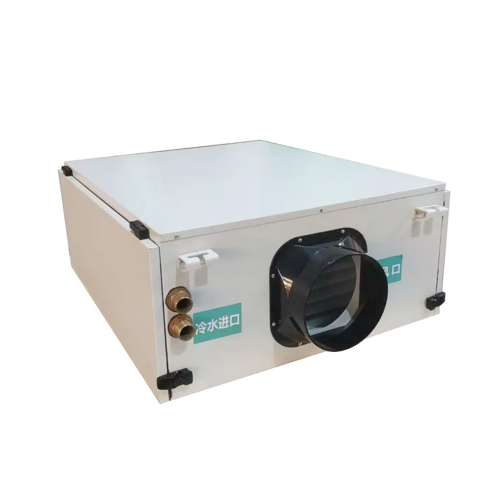 China Supplier Commercial Air-Cooled Duct Industrial Fresh Air Dehumidifier Ceiling Type