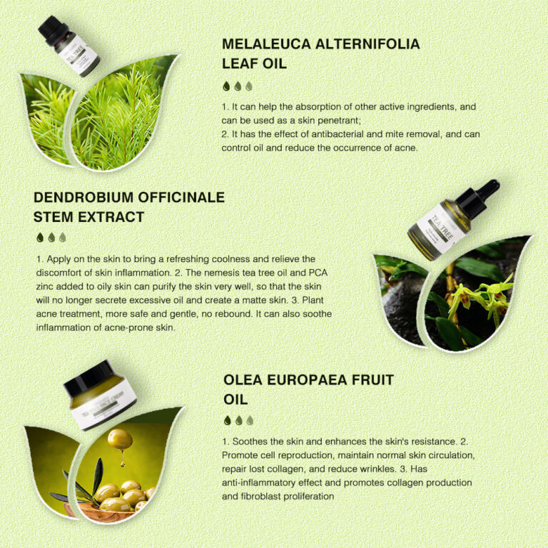 Wholesale Private Label Skin Care Anti Acne Tea Tree Face Oil Facial Serum Skincare Cream