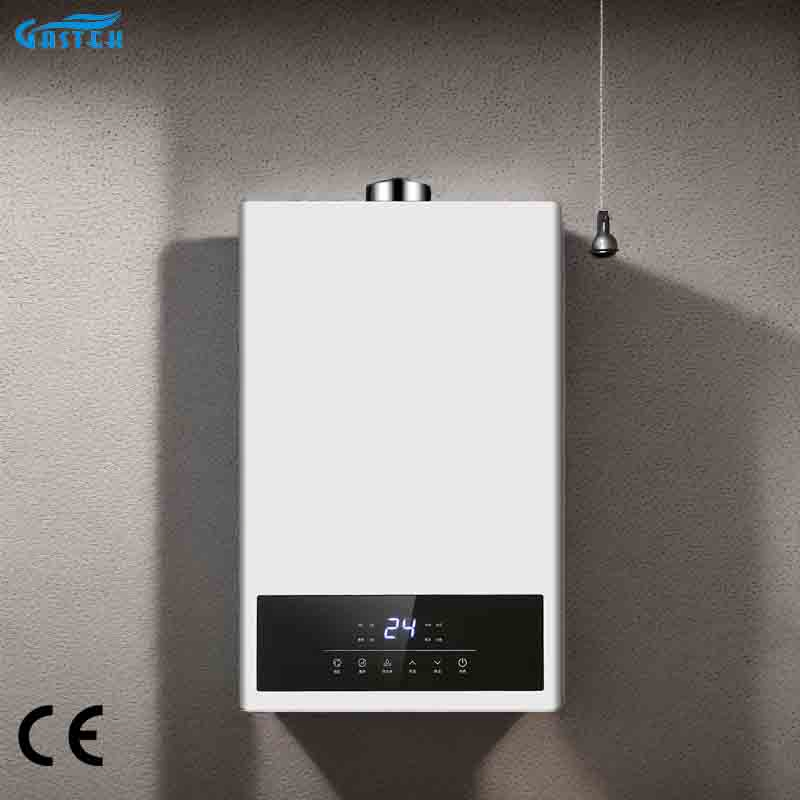 Eco-Friendly 12L Gas Heater for Efficient Home Heating