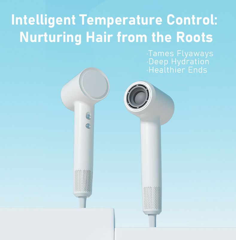 Fast Delivery Low Noise Xf-01A Negative Ion High Speed Super Hairdryer