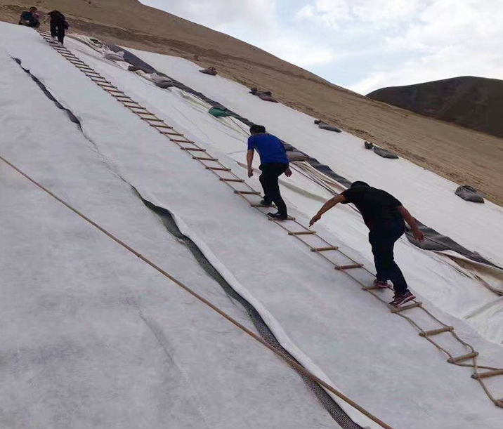 Landfill Basement 6mm Geocomposite Filter Layer HDPE Net Price Bangladesh/Africa/America/Philippine/Australia/Indonesia/Malaysia