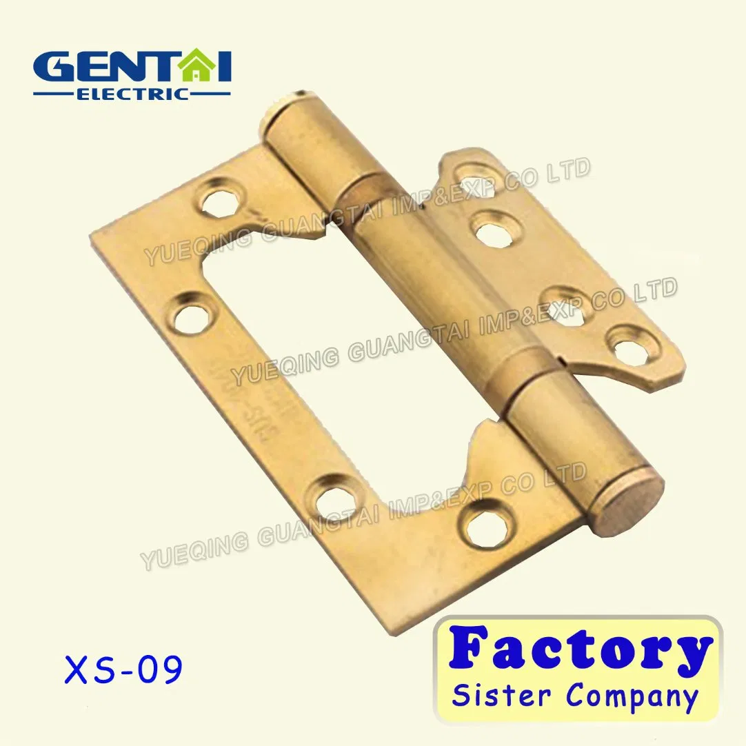 Furniture Hinge Type Stainless Steel Door Hinge Concealed