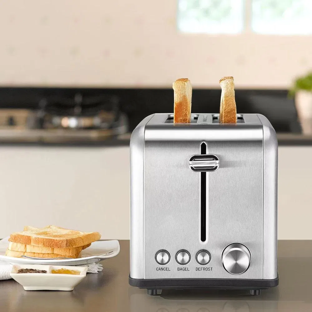 Stainless Steel 2-Slice Toaster with Adjustable Browning Control