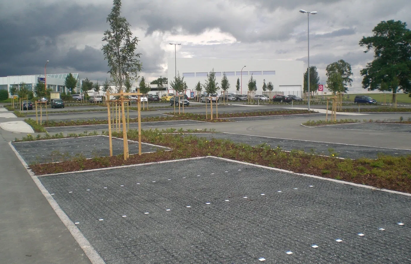 Heavy-Duty Plastic Grass Paver Grid Factory Supply 48mm Thickness Driveway Reinforcement