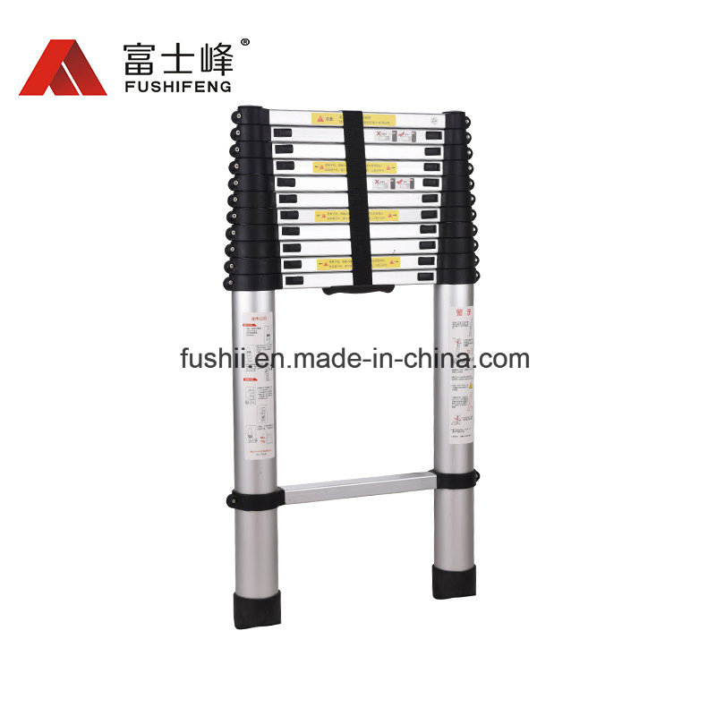 Fashion Telescopic Ladder with 6 Steps