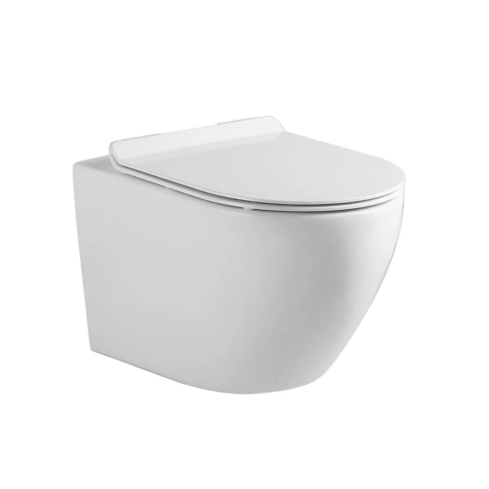Sen Hang Bathroom Luxury Toilet Ceramic Sanitary Ware Hidden Water Tank Wall Mounted Toilet