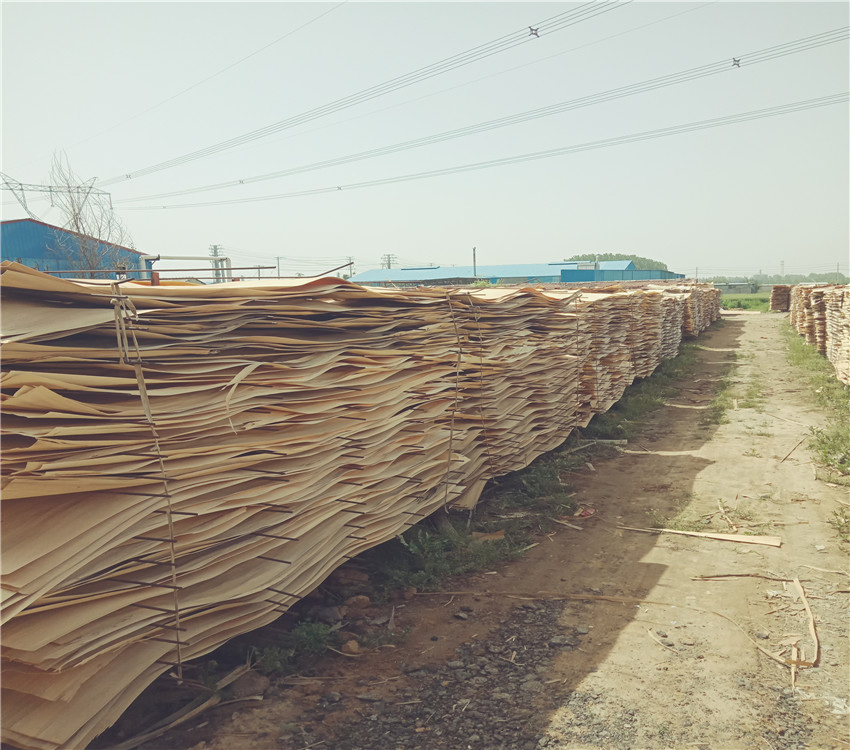 Export Grade Manufacturer Pine Core Layers Grade Bb / Cc Pine Veneer for Plywood Core