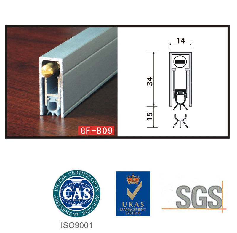 Gasket Seal Gf-B09 for Acoustic