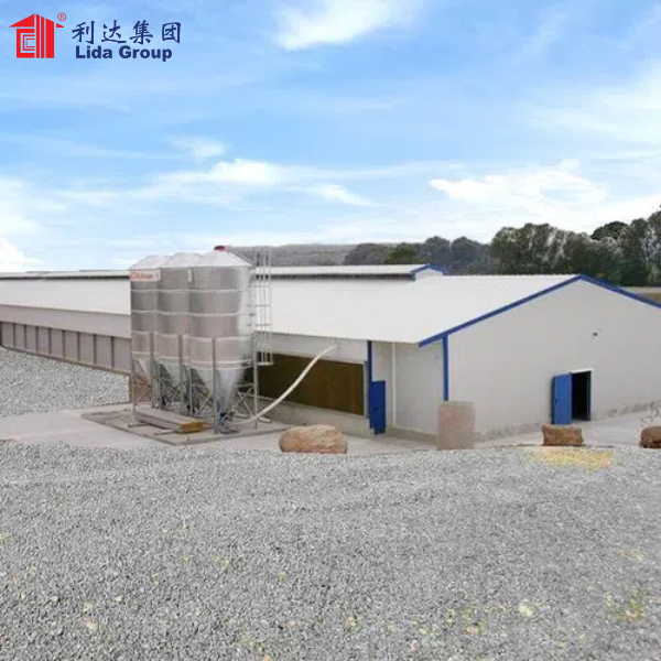 Steel Structure Poultry House for 10000 Chickens Poultry Farm