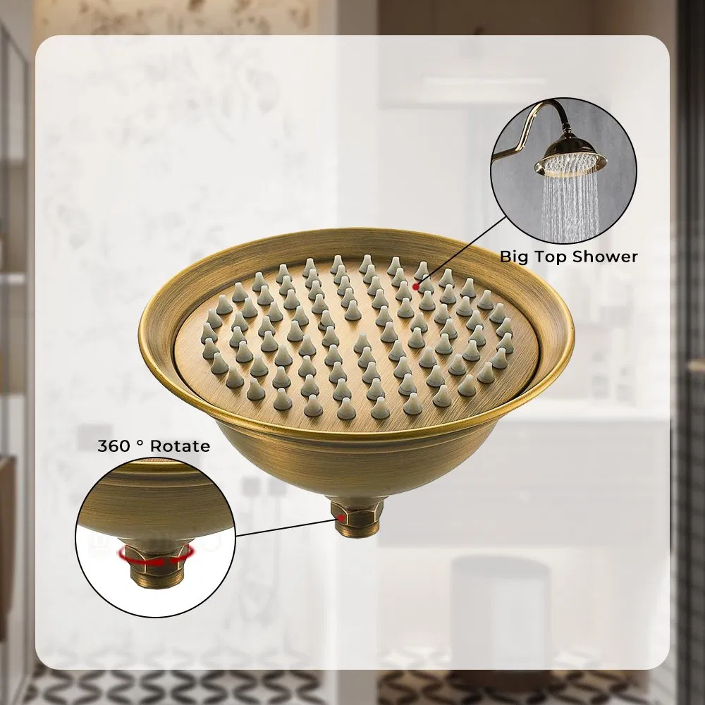 Vintage 8-Inch Stainless Steel Shower Head in Antique Finish