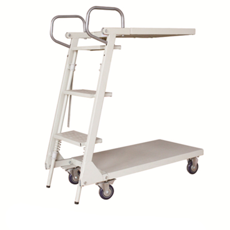 Factory Saleswarehouse Stainless Steel Rolling Mobile Platform Ladder Trucks