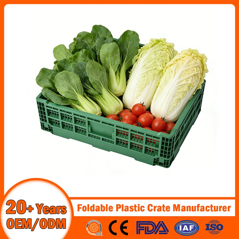 China Plastic Crate Manufacturer Stackable/Attached Lid /Nestable/Lobster/Bale Arm/EU/Euo Moving Mesh Turnover Logistic/Bread/Egg/Beer Tote Plastic Crate
