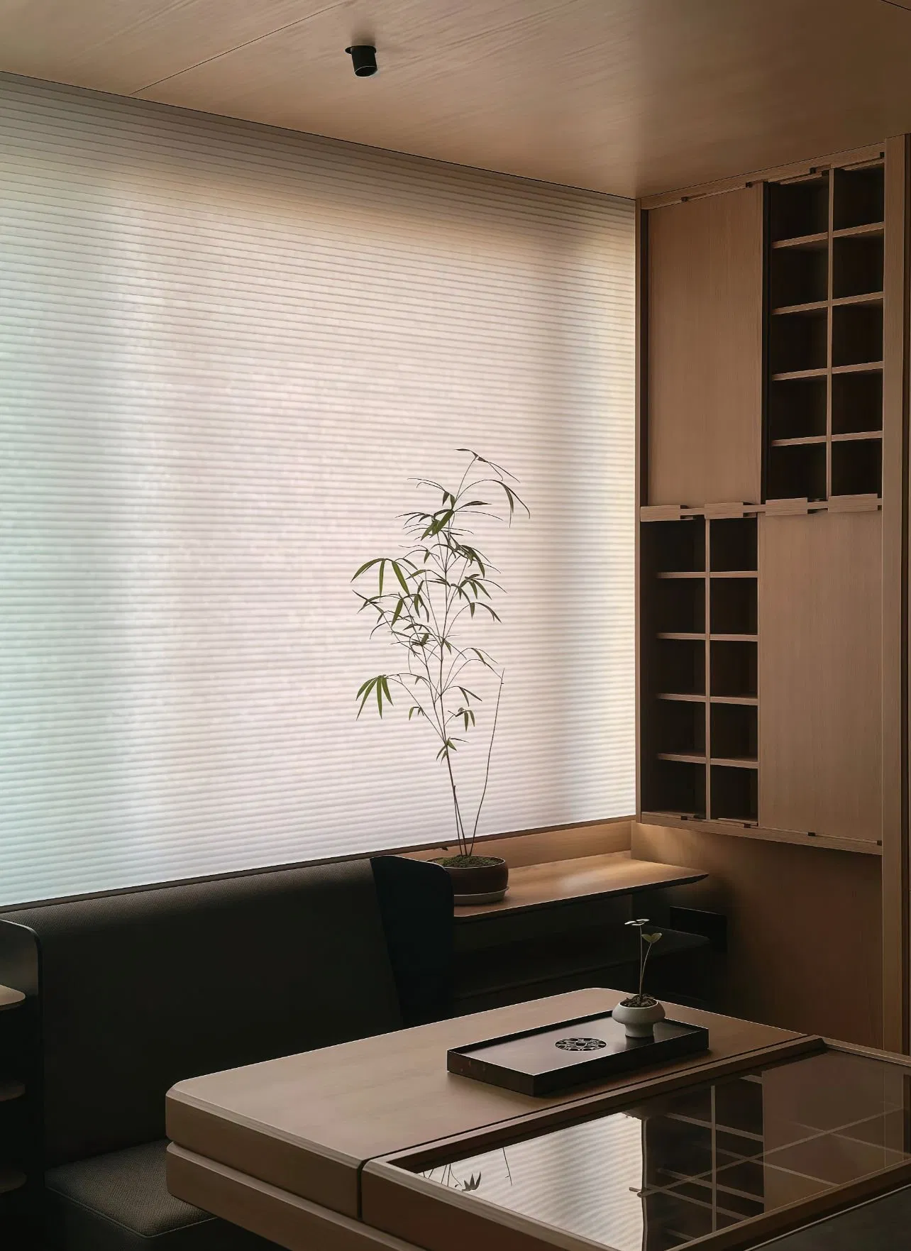 Motorized Day and Night Honeycomb Blinds Cellular Honeycomb Blinds