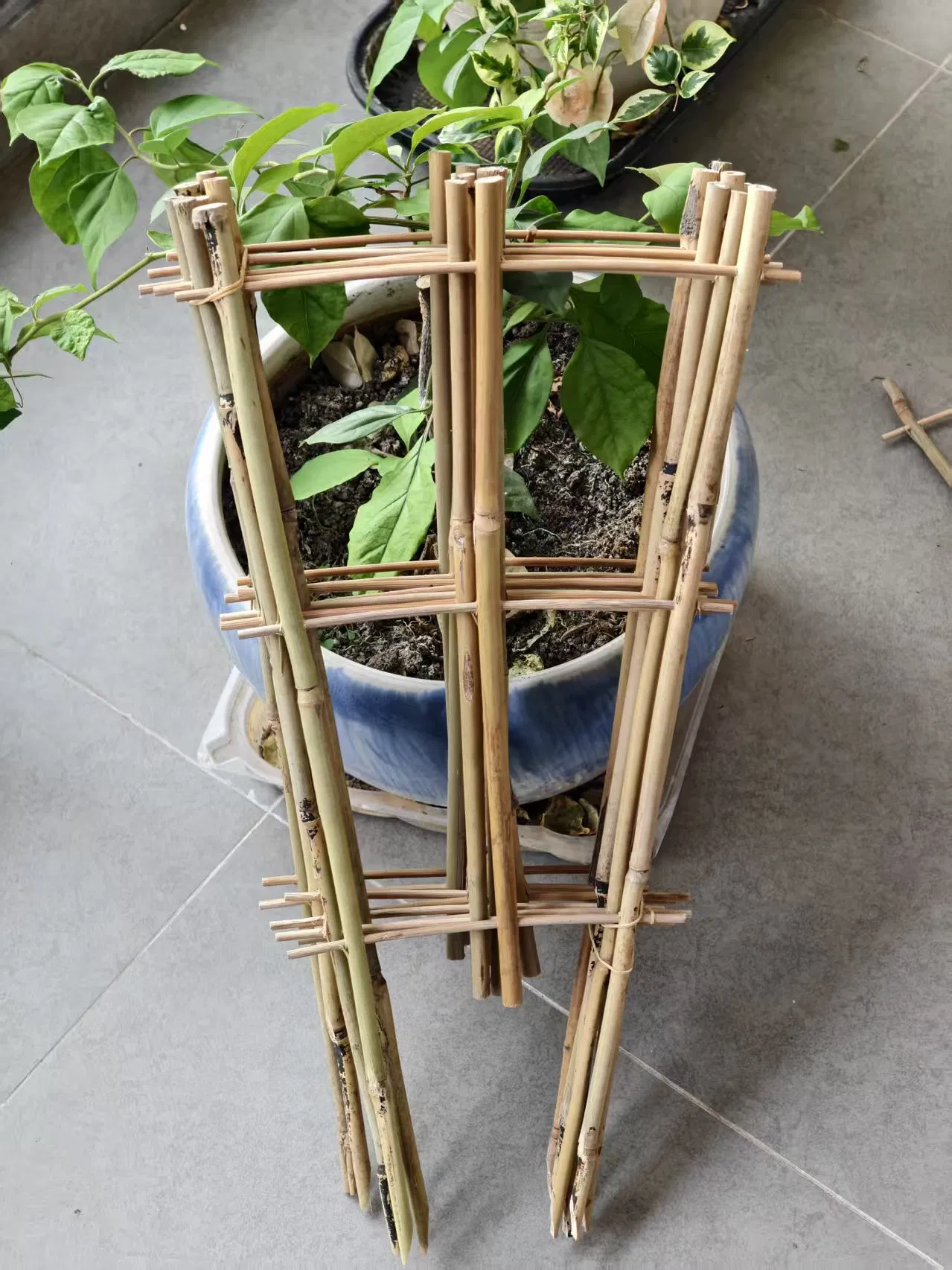 Bamboo Trellis U Bamboo Trellis Fan Trellis for Flowers Support and Growing