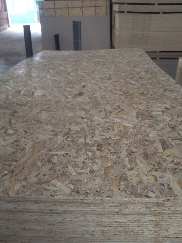 OSB (oriented strand board) From Factory in 9mm 12mm 15mm 18mm