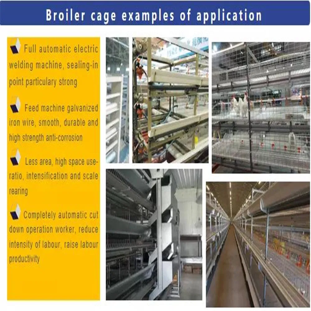 Premium Heavy-Duty Automatic Steel Chicken Coop for Poultry Farming