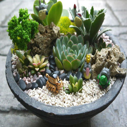 Horticultural Planting Expanded Perlite Expanded Perlite