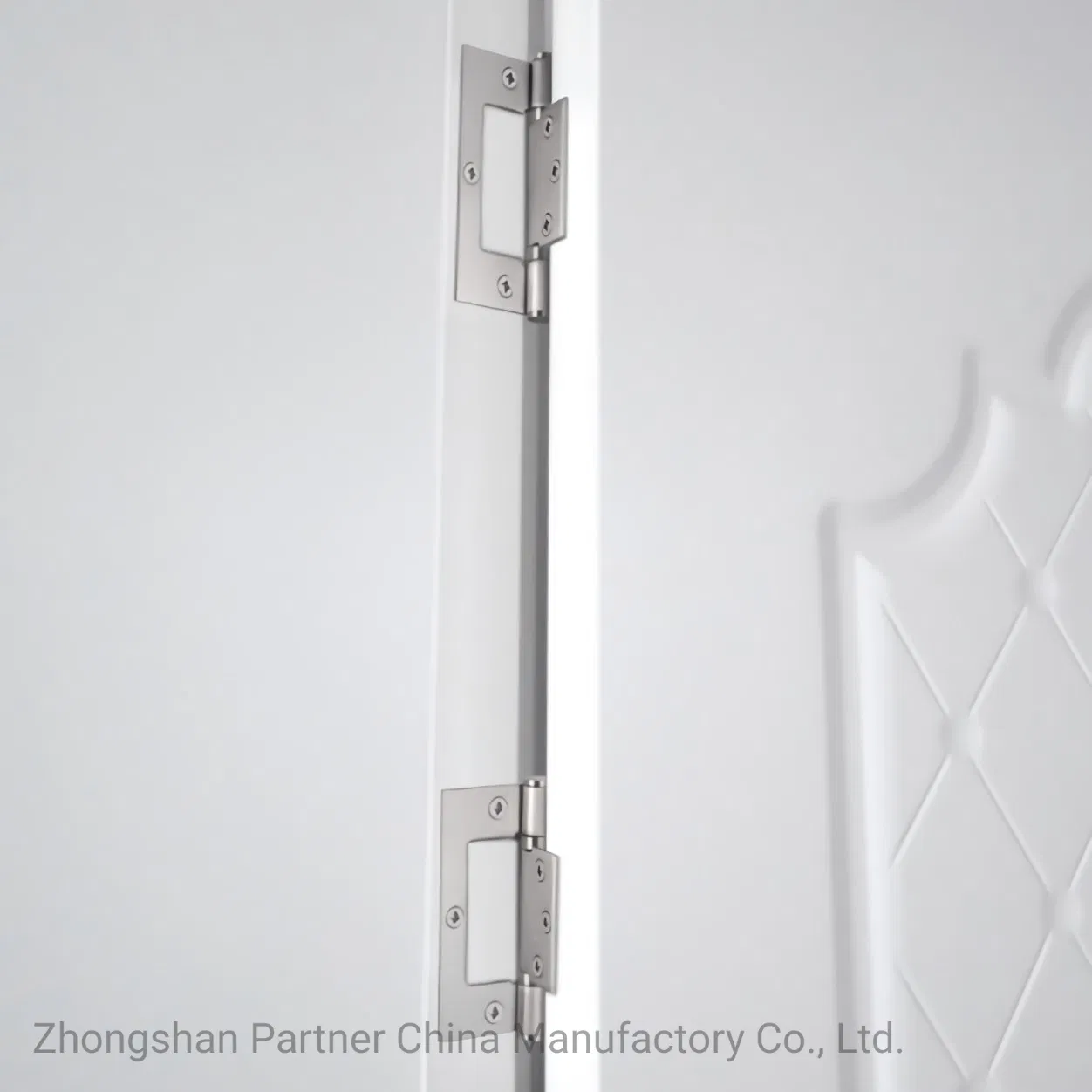 Stainless Steel Door Accessories Flush Hinge