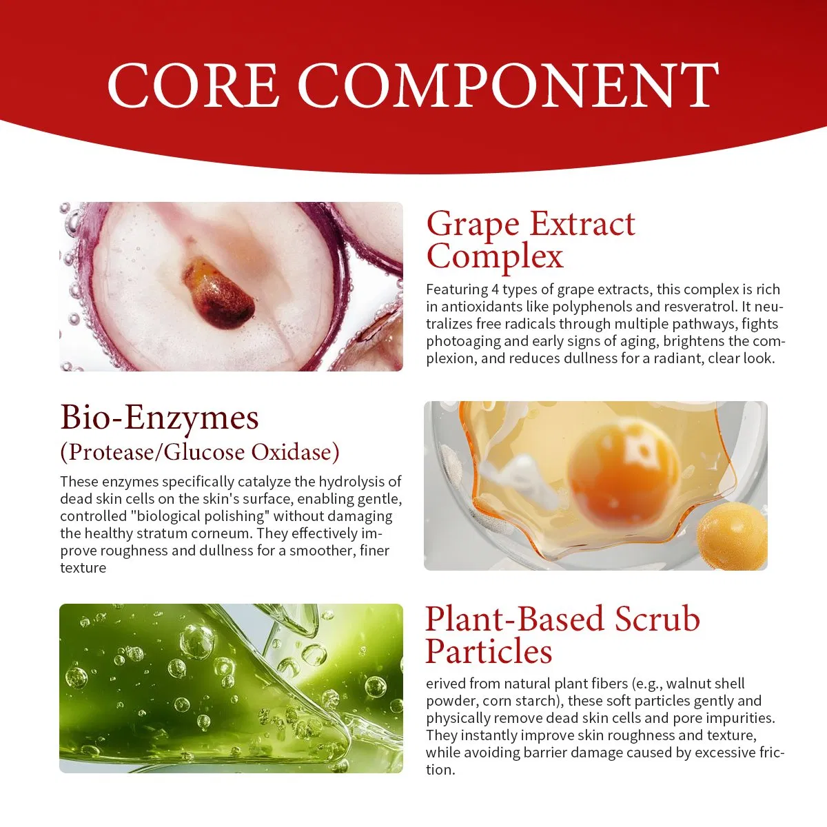OEM/ODM Therapy Antioxidant Brightening Bio-Enzyme Physical Scrub Instant Antioxidant Grape Enzyme Hydrotherapy Cleanser