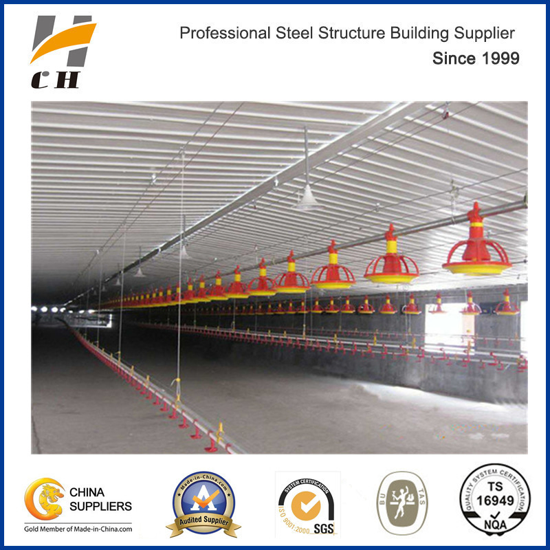 Steel Structure Chicken Poultry Building