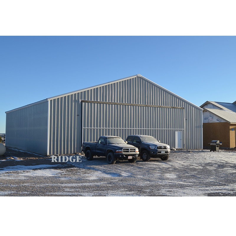 Big Space Warehouse Steel Structure High Quality Storage Factory Canopy