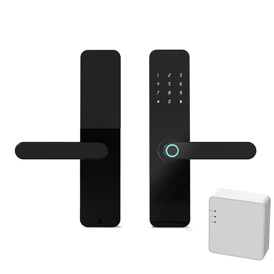 Intelligente Biometric Digital Combination Fingerprint Password Tuya WiFi Smart Door Lock