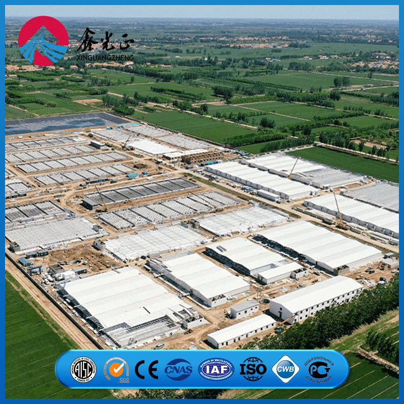 Reinforced Joint Steel Frame Assembly System Chicken Prefab Metal Storage Farming Equipment Steel Structure Sheep/Goat/Pig/Hog/Cattle/Cow/Poultry House/Shed