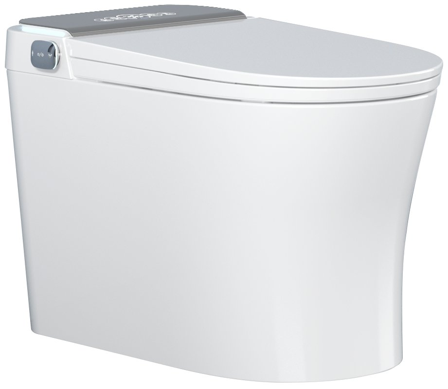 Simple and Popular Fashionable Intelligent Toilet