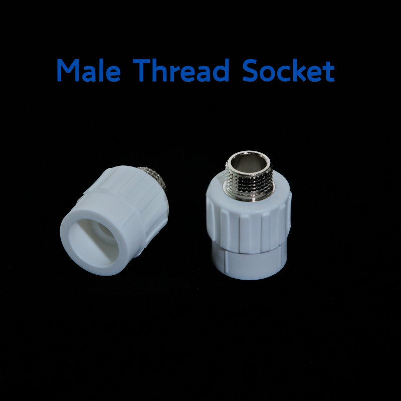 Wholesales PPR Male Thread Socket of PPR Pipe Fittings 20*1/2'