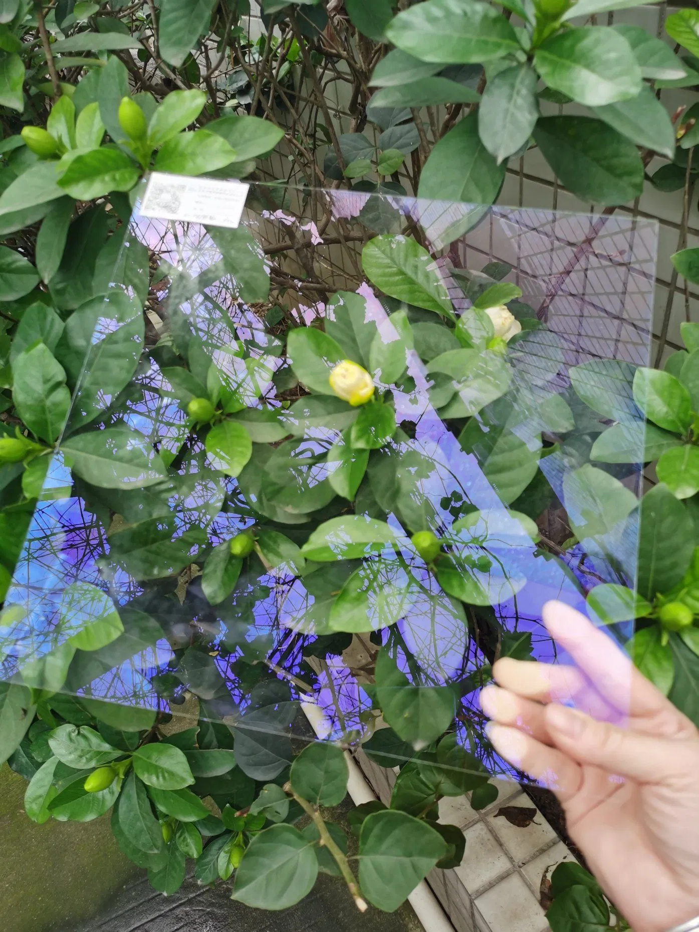 Custom Anti-Reflective Coating Glass for Windows and Displays