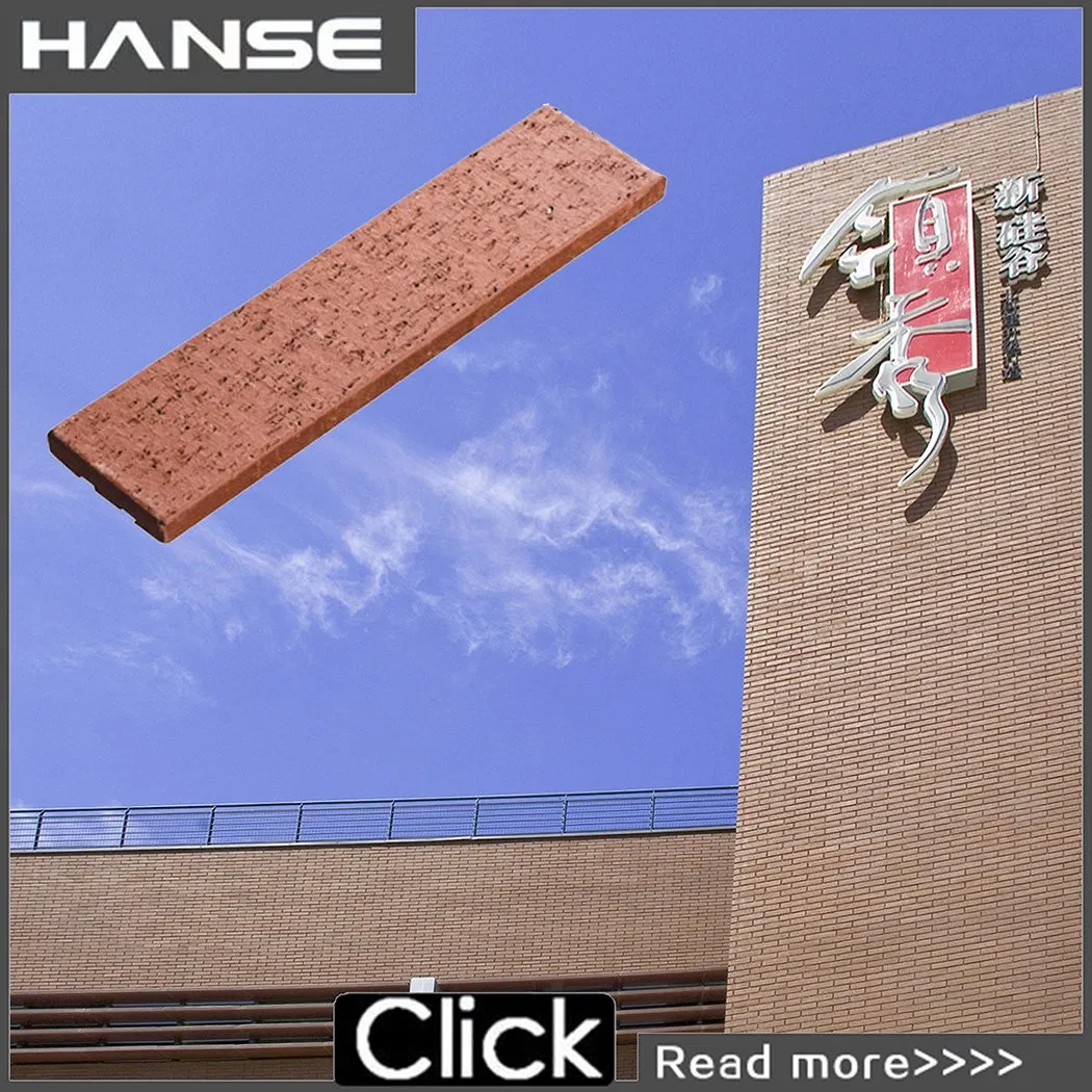 Red Lion Exterior Wall Brick Exterior Wall Cladding Dry Hanging Clay Bricks Terracotta Brick Type Tiles Matte Clay Backyard Brick Wall