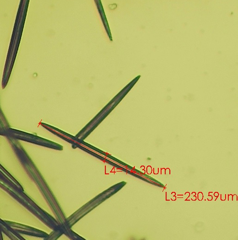 Hydrolyzed Sponge 001-250μm-99% Microneedle/Spicule for Hair Regrowth Raw Material of Cosmetic