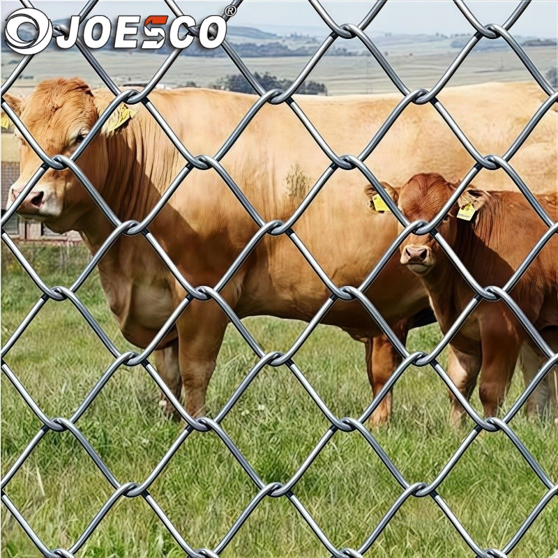 Factory Cyclone Wire Mesh PVC Hot Dipped Galvanized Chain Link Fence