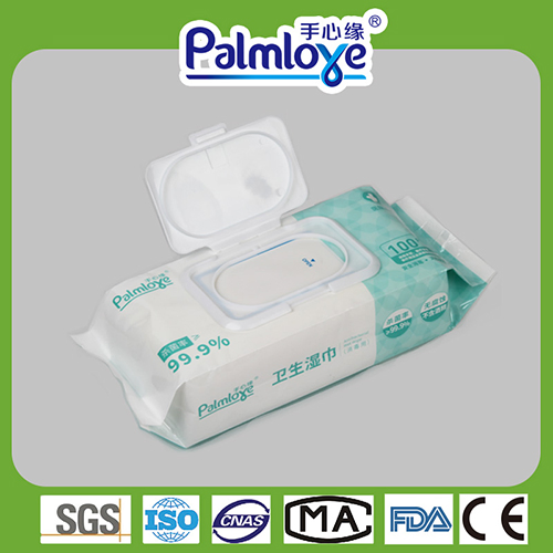 Palmjoy Antibacterial Wipes, Hygiene Wipes Kills 99.99% Bacterial