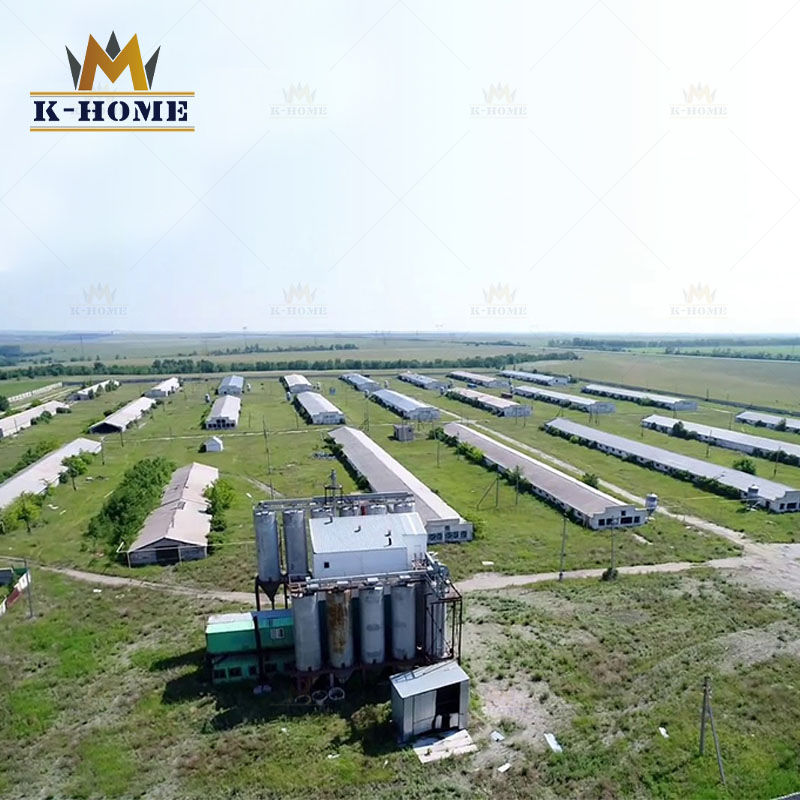 Light H Section Steel Frame Prefab Poultry Full Set Chicken Farm House