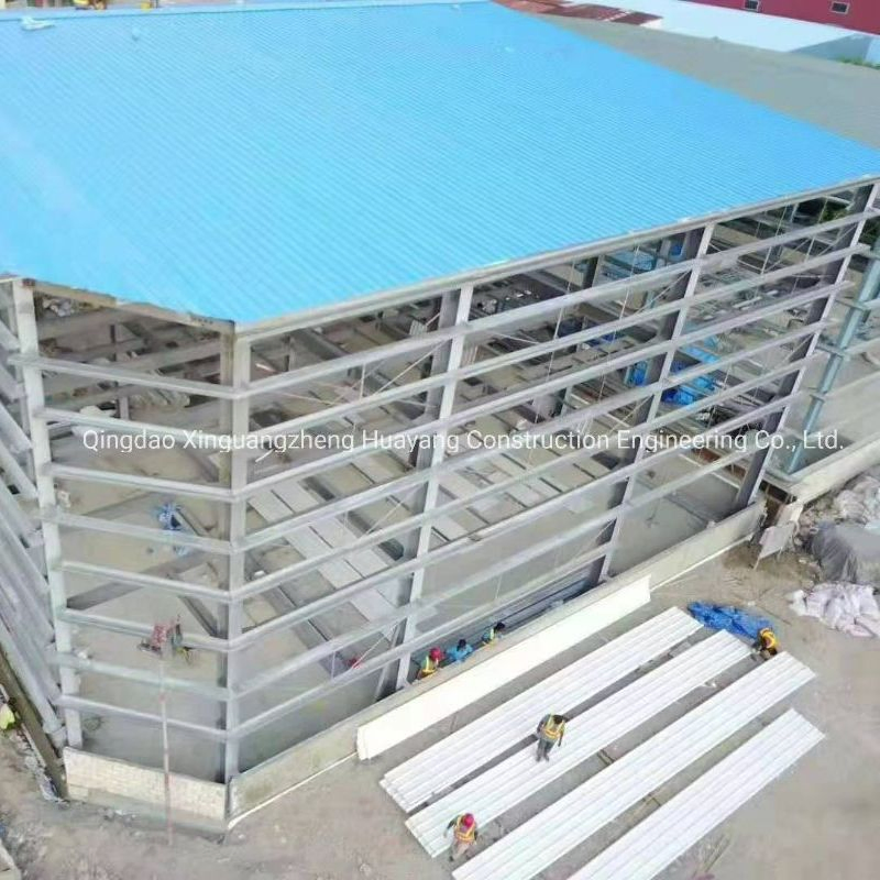 Multi Span Light Steel Structure Warehouse (XGZ-SSW 439)