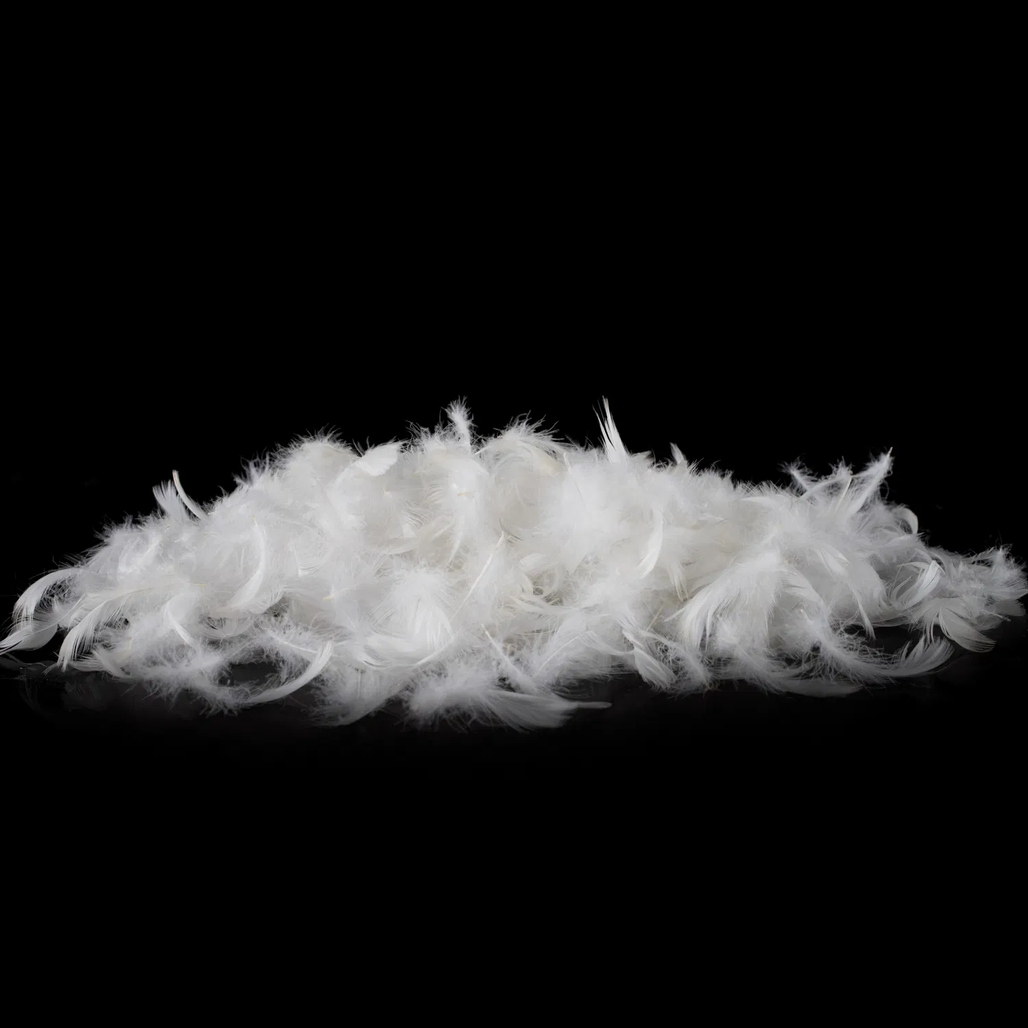 Factory Price 2-4cm Washed Duck Feather for Sale