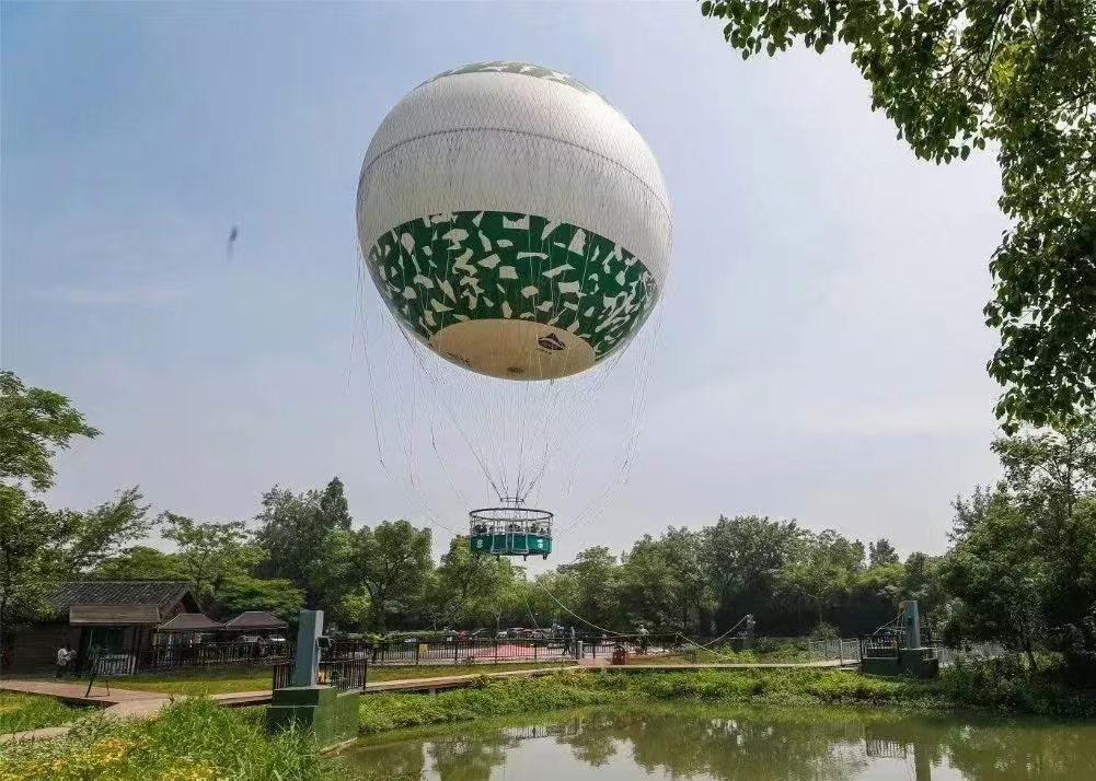 Custom Men-Carried Balloon Helium Logo for Advertising OEM Personalised Helium Balloons