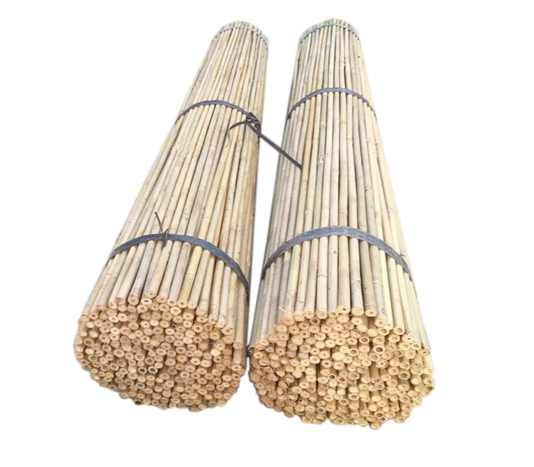 Planting Nursery Use Bamboo Raw Sticks Canes Stakes & Poles