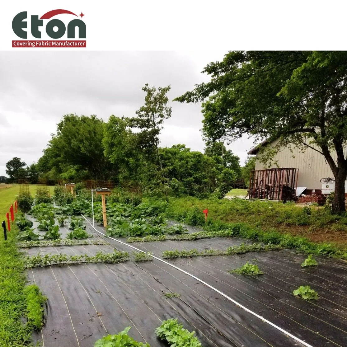 Wholesales Heavy-Duty Weed Control Ground Cover for Garden Underlayment