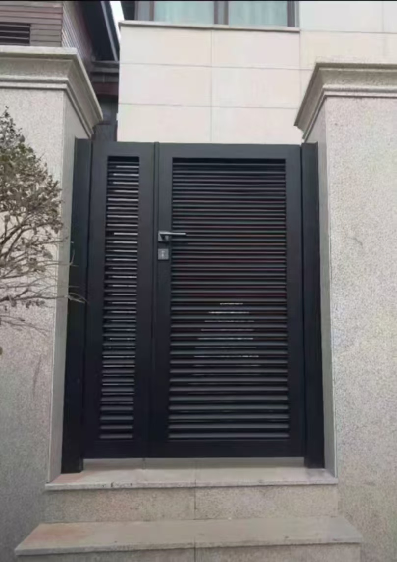 Metal Window Stylish Aluminum Art Door with Customizable Designs for Sale