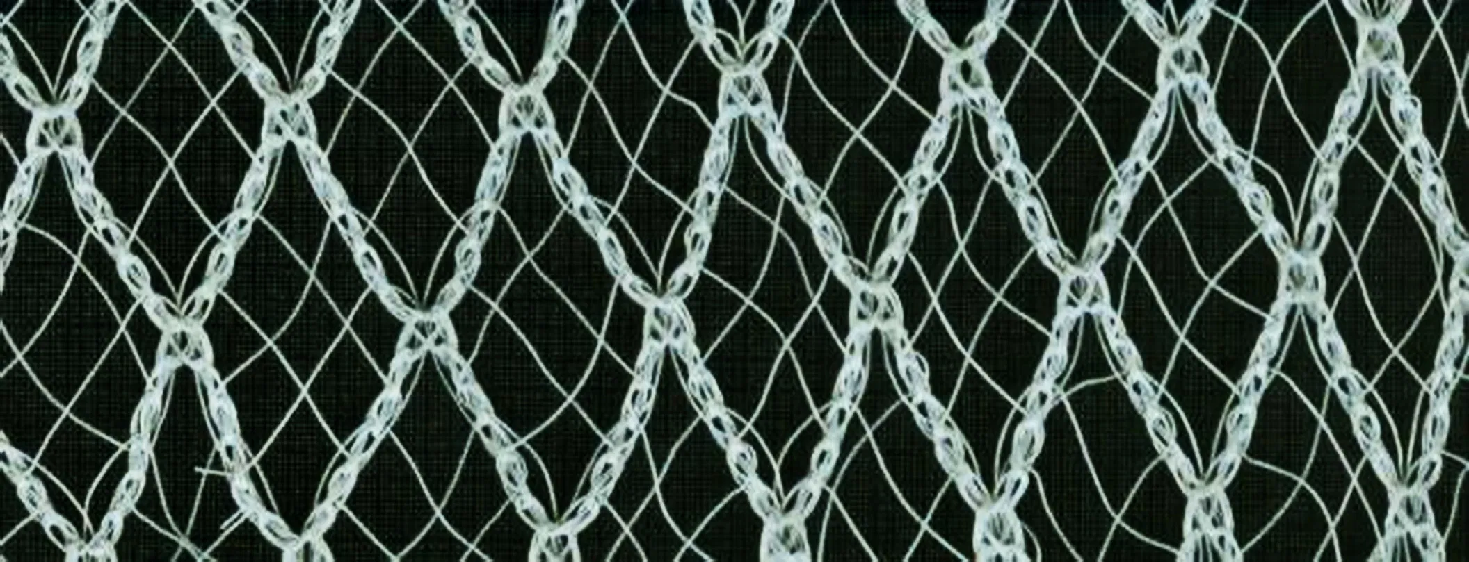 Bird Net Anti-Bird Corn Protection